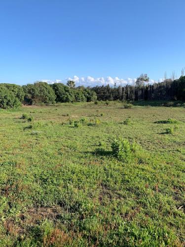 Finca Dos Vientos Tarifa 5