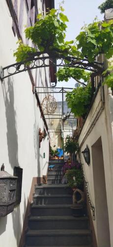 Casa Servatius in Briedel