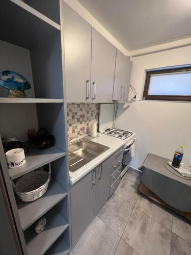 Vila Dan, Gałacz (zdjęcie 10)