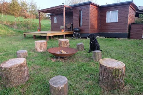 Cozy and peaceful cabin 15 mins from Lyme Regis