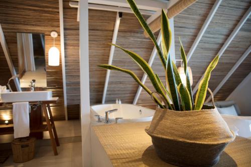 Preskil Island Resort Preskil Island Resort