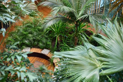 Hotel Jakarta Amsterdam - image 7