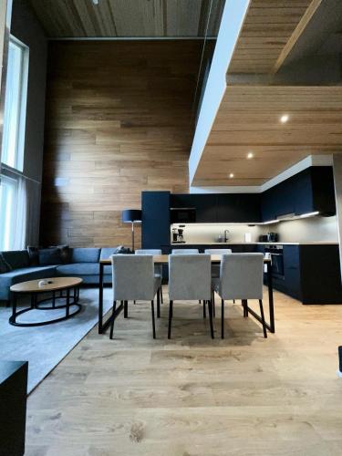 Levin Kunkku B penthouse 5