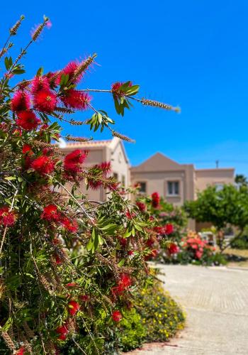 Casa Verde Houses Leros