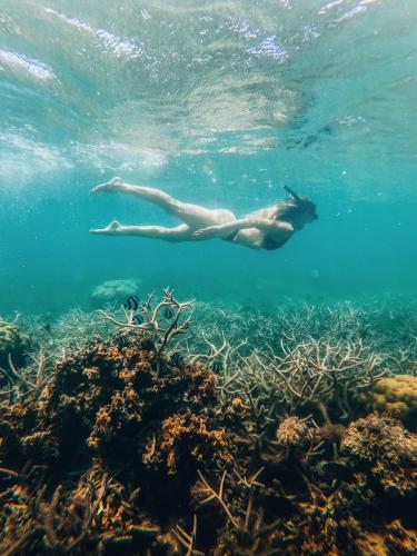 Preskil Island Resort Preskil Island Resort