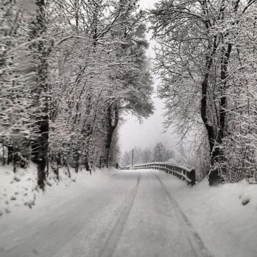  Appartamento Vaia in Molina di Ledro