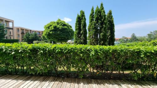Apartment - Ground Floor image 10