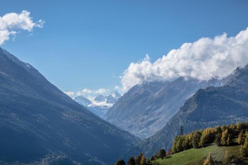 Hotel Saint Nicolas - image 11