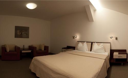 Hotel Baneasa Parc - image 8