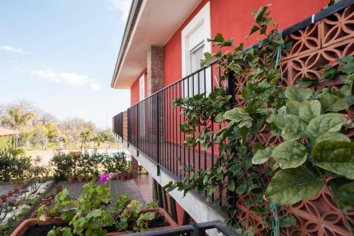Villa with swimming pool - Zafferana gîte à louer Milo
