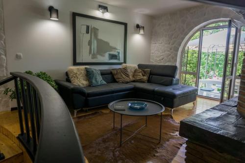  Palm tree in Jurićev Kal