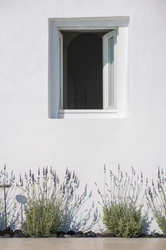 Villa Dio - Tap to explore photos