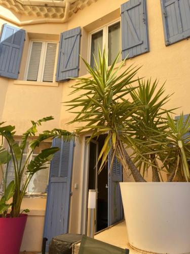 Villa TerraMera Hôtel - image 7