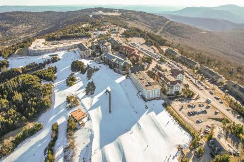 Cozy Condo at Summit in Snowshoe, USA