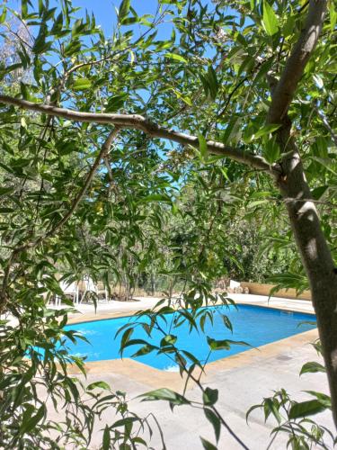 Uitzicht, Cabañas Golem - Camino Termas de Chillán (Cabanas Golem - Camino Termas de Chillan) in Termas De Chillan