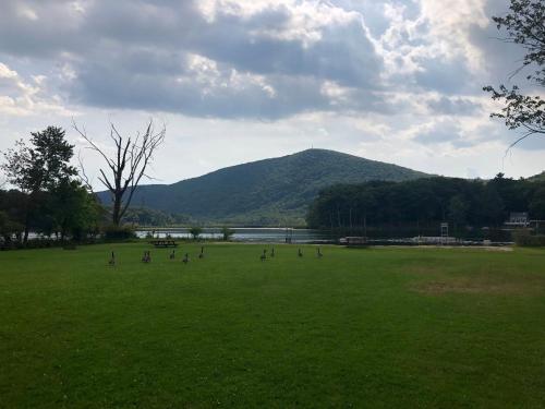 Tentrr - Hudson Valley Hilltop Campsite 2 - image 7