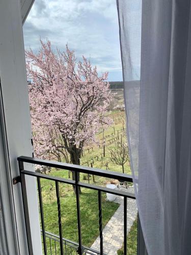 Szőlőskert vendégház (Szoloskert vendeghaz) in Pécsely