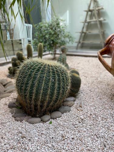 La Casa di Flo Luxury Rooms in Gallipoli