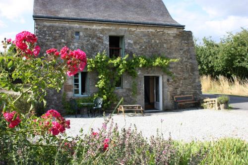 La Vigne, La Ville Josse - Location saisonnière - Le Mené