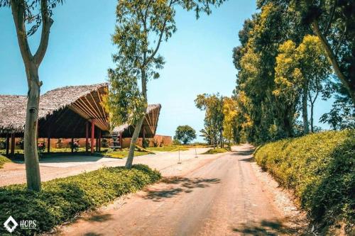 HOP BUZIOS exclusiva oasis y playa en Chincha in Chincha Alta