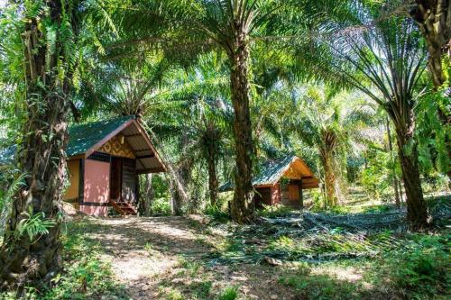 Khao Sok Silver Cliff Resort - 주변 환경