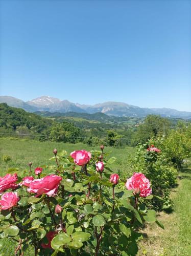 Villa Strada dei Monti Sibillini - Accommodation - Montefortino