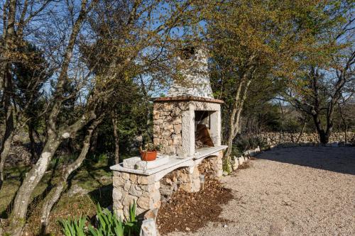 App Kokotić (App Kokotic) in Cizici