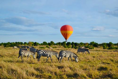 Mara Sweet Acacia Lodge