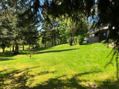 Schwarzwald - Villa Appartments Titisee - image 7
