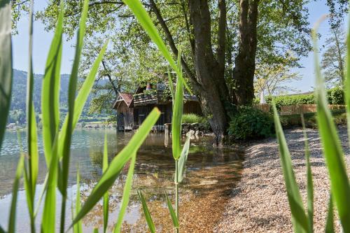 Comfort Safarizelt direkt am Ossiachersee