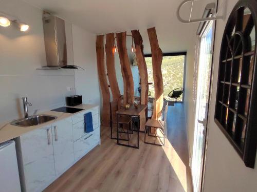 Casas y Cuevas El Solins 4
