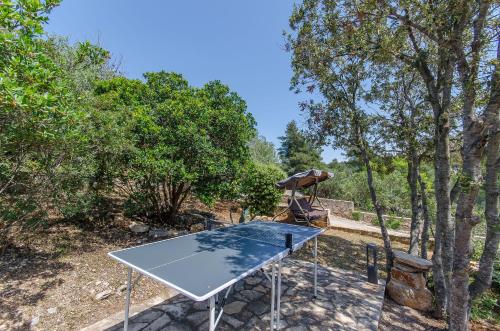 House Anima - main image