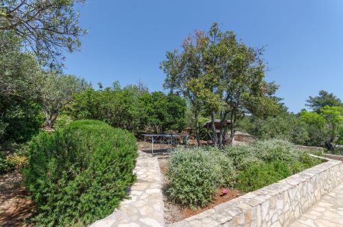 House Anima - image 3