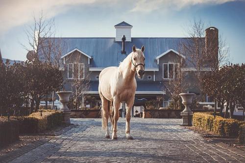 Dunkeld Country & Equestrian Estate