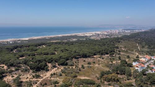 Villa Rosa Brava Villa Rosa Brava