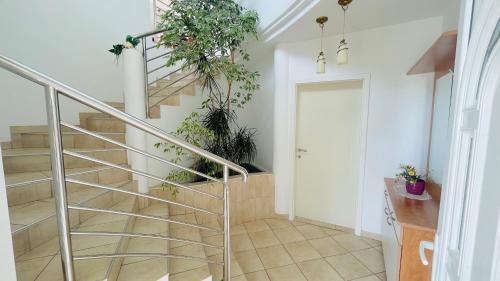 Villa Maestral Zadar - image 3