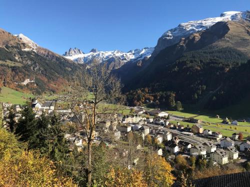 Apartment next to Titlis Station - image 7