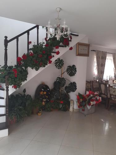 Casa Bozai