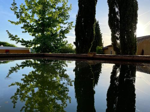 Quinta do Barrieiro - image 11