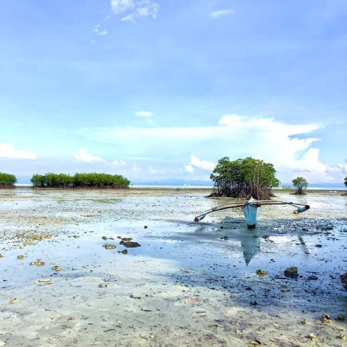 Toliz Beach House -Sipaway Island San Carlos City