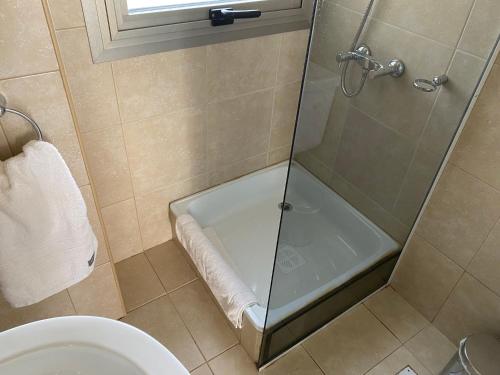 One-Bedroom Apartment image 4