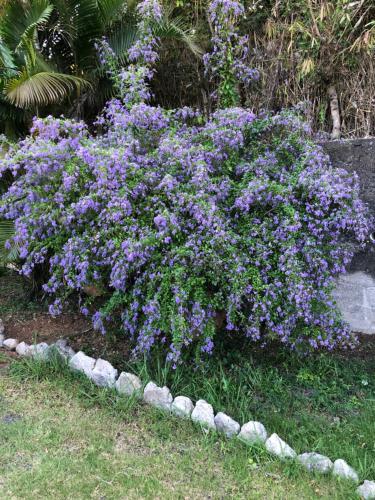 Saint-denis Studio 40 m2 - Bellepierre in Reunion