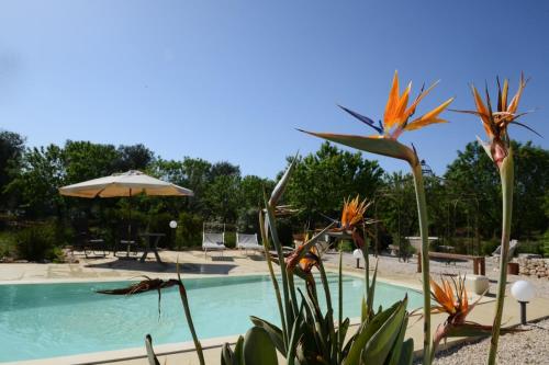 LAMIA TIPICA con PISCINA gîte à louer San Michele Salentino