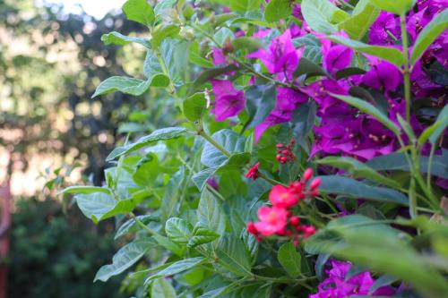 Zohara boutiqe suite in Caesarea