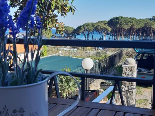  Trilocale Il timone in Fetovaia