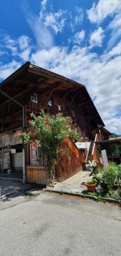 外部景觀, Haus Bergmann in 博爾蒂根