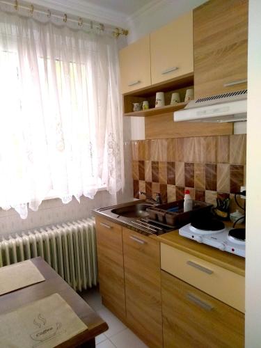 Faciliteter, Sandrea I Apartment in Novi Grad
