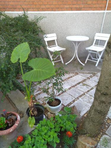 Faciliteiten, Sandrea I Apartment in Novi Grad