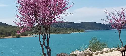 le studio du lac in Les Salles-Sur-Verdon