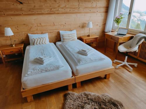 Hotel Bergsonne Rigi Kaltbad Room Type - Standard Room with Lake and Mountain View